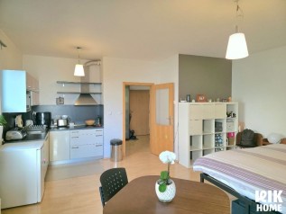 pronajem-byty-1-kk-44-m2-praha-liben-1-35ef99