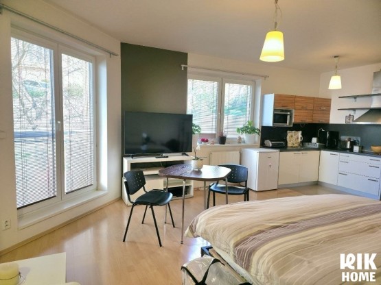 pronajem-byty-1-kk-44-m2-praha-liben-4-223275