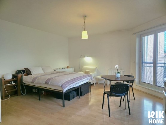 pronajem-byty-1-kk-44-m2-praha-liben-6-dcceae