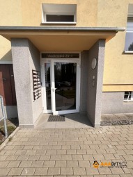 IMG_7382.JPEG