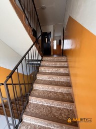 IMG_7381.JPEG