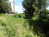 DSCN1392.JPG