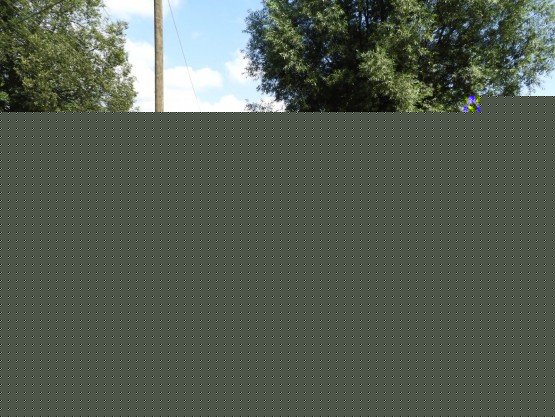 DSCN1392.JPG