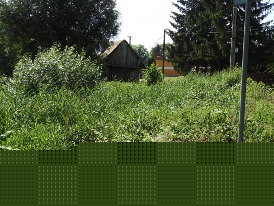DSCN1396.JPG