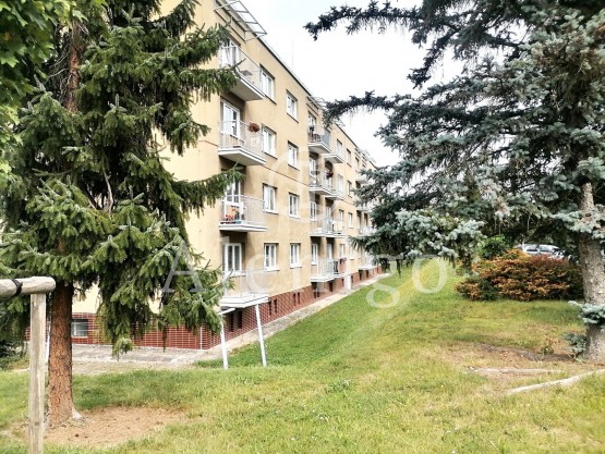 IMG_20250910_124620_resized_20250910_043056378