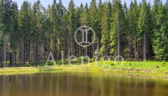 IMG_20251002_130907 (1)