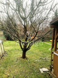 IMG_20251205_103945_resized_20251205_012159077