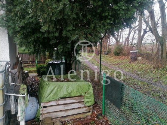 IMG_20251205_103912_resized_20251205_012200030