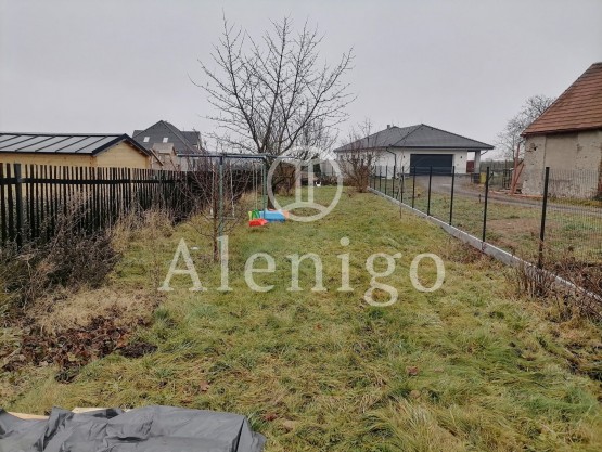 12 - kopie - kopie - kopie