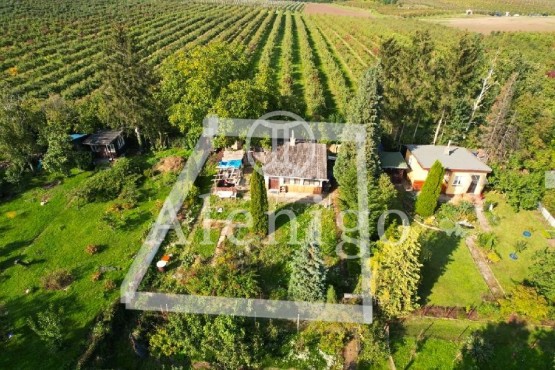 104 - kopie - kopie - kopie - kopie