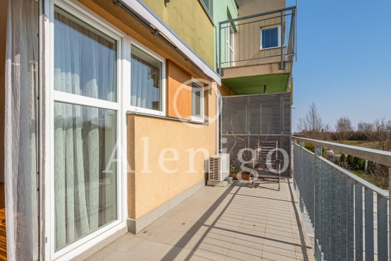 Untitled-5140 - kopie (2)