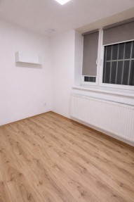 Detail: Pronájem bytu 1+1, 38 m2