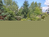 IMG_20250801_140648.jpg