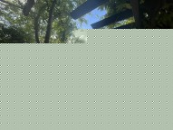 C698A07D-5AA1-4BCC-8AFE-4AD0927F966F_1_105_c