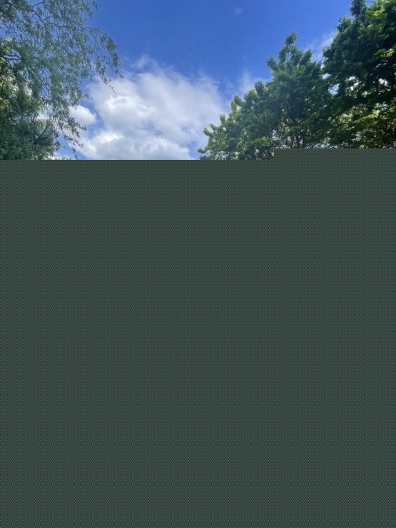 41DB34CC-8091-41E4-BFAD-96D7B26C5CB5_1_105_c