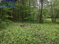IMG_20260509_111513.jpg