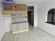 Detail: Pronájem bytu 1+1, 38 m2