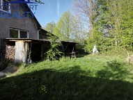 IMG_20260428_175335.jpg