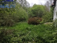 IMG_20260509_111735.jpg