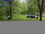 IMG_20260509_111333.jpg