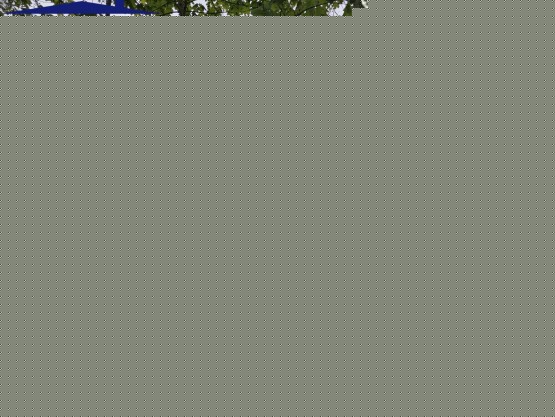 IMG_20260509_111527.jpg