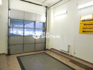 DSC03954