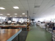 DSC03369