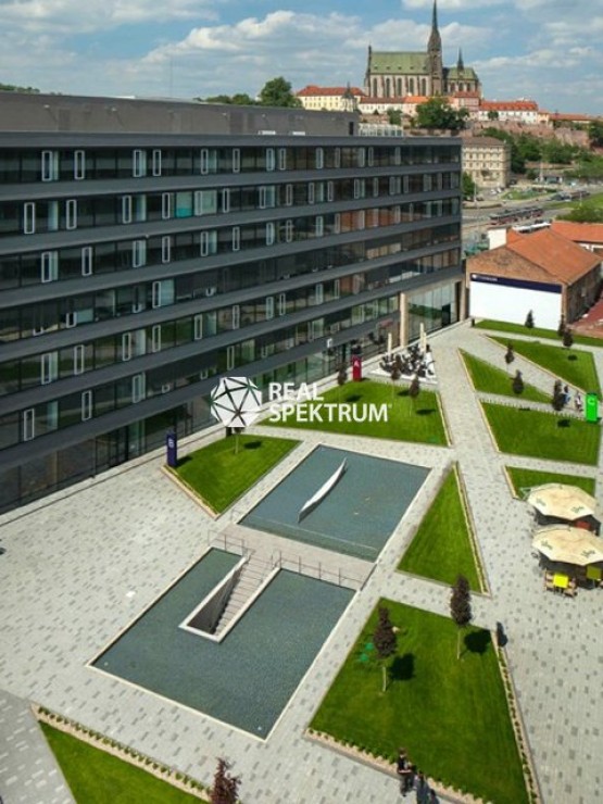 T 066.jpg
