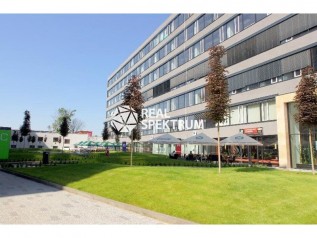 pronajem-kancelare-350-m-nove-sady-brno-brno-stred-n-rsb-10858-12-6-i57a42ca1c8b69e6b381b9db8e52a322