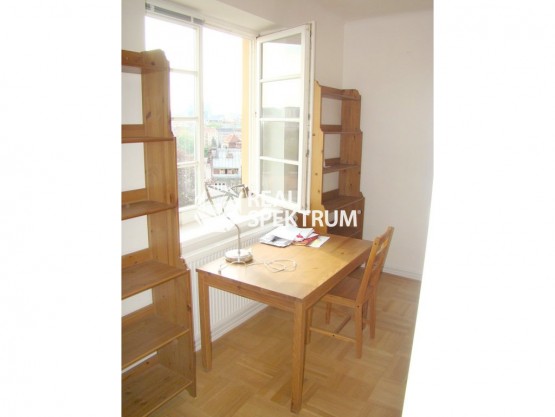 pronajem-byty-1-1-35-m-fisova-brno-brno-sever-n-rsb-14745-15-dsc09719-id4214987487b853319dc426eeff51