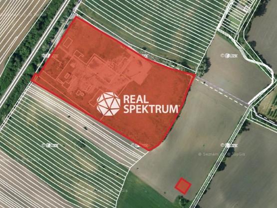 Moravská Nová Ves-orto