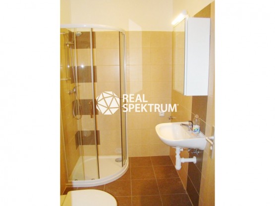 pronajem-byty-1-kk-24-m-francouzska-brno-zabrdovice-brno-sever-n-rsb-15915-16-dsc03580-i65bdaa141c4c