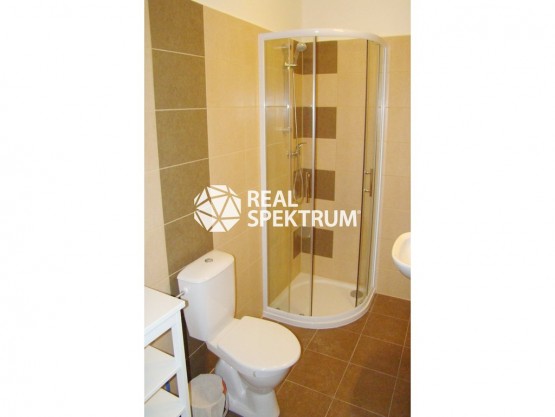 pronajem-byty-1-kk-24-m-francouzska-brno-zabrdovice-brno-sever-n-rsb-15915-16-dsc03581-if3e8fad66430