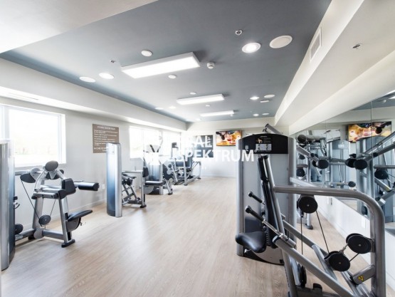 pronajem-obchodniho-prostoru-1900-m2-brno-ulice-svatopetrska-adobestock-264676076-aaab45