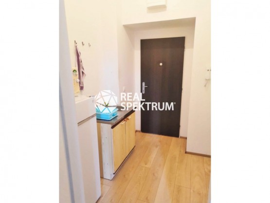 68547955_2616832811707841_6534842970506526720_n