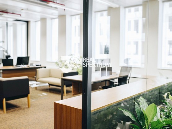 pronajem-kancelarskych-prostor-102-m2-ulice-turanka-brno-slatina-dsc-9588-008ff2