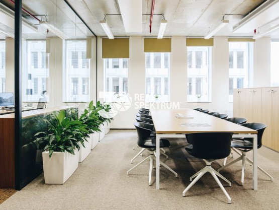 pronajem-kancelarskych-prostor-102-m2-ulice-turanka-brno-slatina-dsc-9608-73a23e