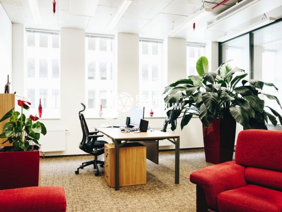 pronajem-kancelarskych-prostor-34-m2-ulice-turanka-brno-slatina-dsc-9674-9420a0