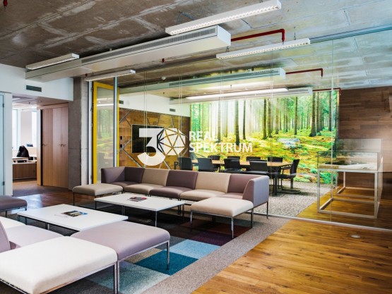 pronajem-kancelarskych-prostor-34-m2-ulice-turanka-brno-slatina-dsc-0383-46c1fa