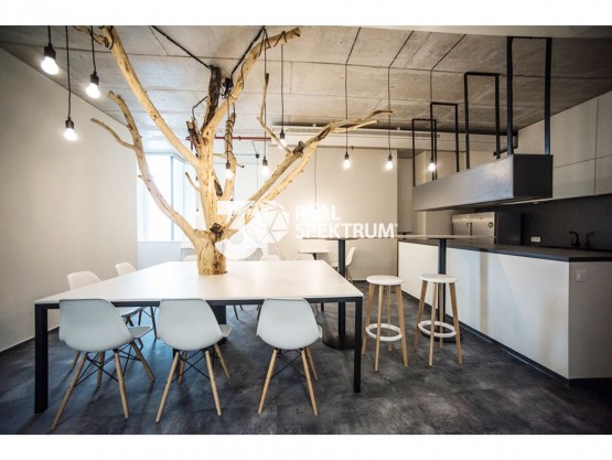 pronajem-kancelarskych-prostor-102-m2-ulice-turanka-brno-slatina-mil-2006-5aaa13