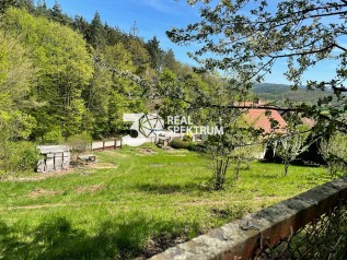 Foto - pozemek Česká 001