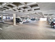 IMG_7150