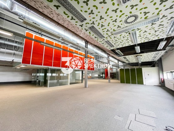 IMG_5239