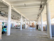 IMG_9997