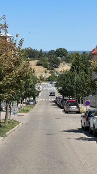IMG_3220