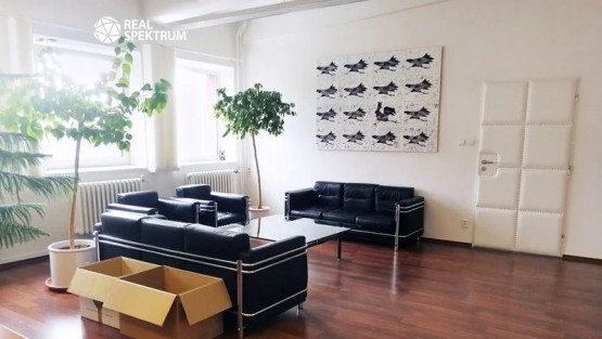 Pronájem KA Slaměníkova_08