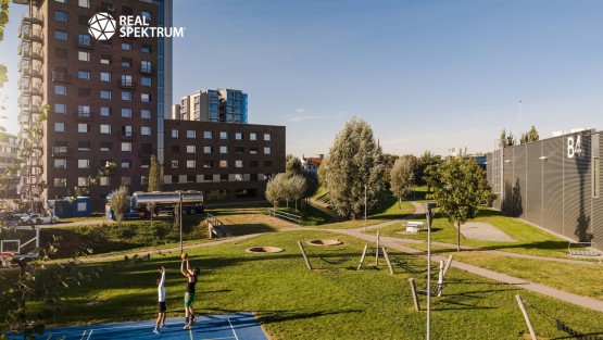 ctp_highres@oldrichhrb-61