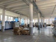 IMG_0016