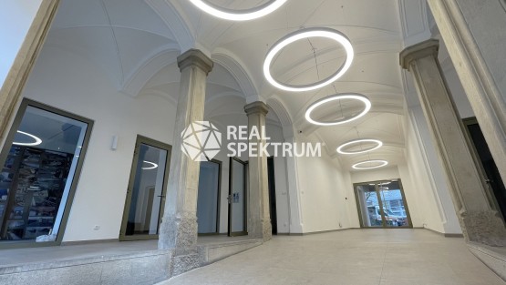 pronajem_pasaz_koliste-05