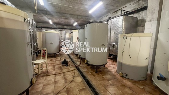 Vinarstvi-prodej-Velke-Hosteradky-03